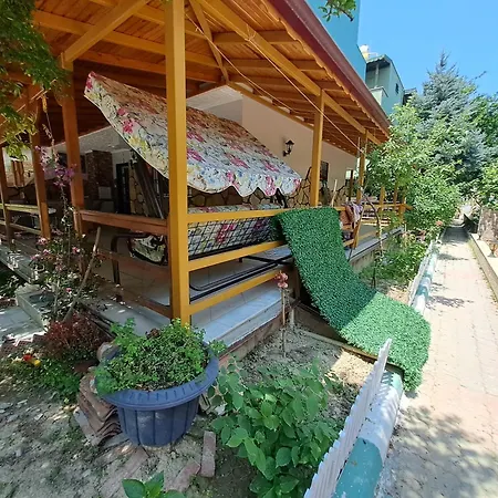 Starfish * Kusadası
