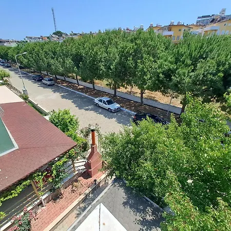 Starfish Κουσάντασι