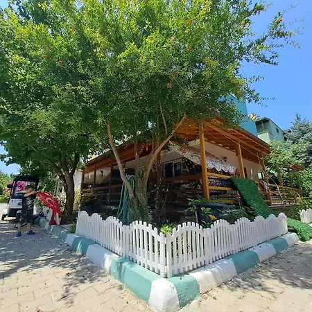 Starfish * Kusadası