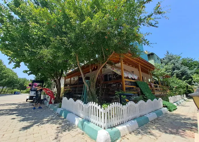 Starfish * Kusadası