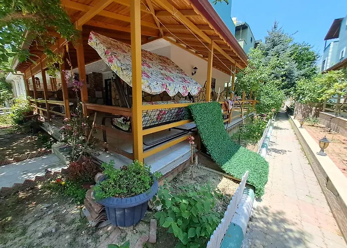 Starfish * Kusadası