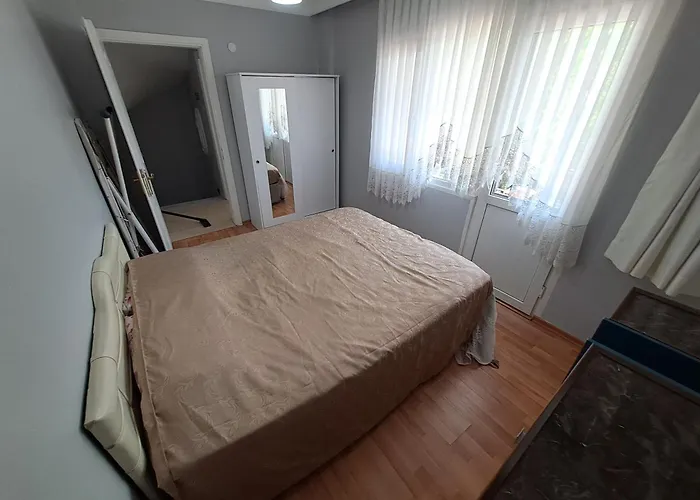 Starfish * Kusadası